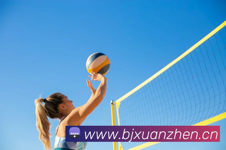 米兰体育在线登陆入口APP 高清赛事图